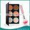 Wholesale 6 Color Makeup Blush Chemical Powder Blush with Blush Brush