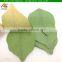 leaf shape note pads