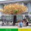Grc trunk artificial banyan dollar tree wholesale