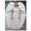 Artificial Feathers Costume Wings
