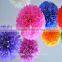 Tissue Paper Pom Poms 10pcs/lot DIY 10"(25 CM) Decorative Flower paper Ball for Baby Shower Birthday Wedding Party Decorations