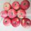 Fresh red Fuji apple