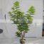 artificial plant Winter jasmine tree