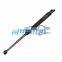 Pair Tailgate Gas Struts Hatch Mark II Hatchback LS LT LV 2005-ON