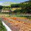 gabion baskets1*1*0.6m-flood control