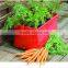 New design garden vegetable PE grow bags