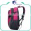 Pink girls polyester oem laptop/computer backpack bag