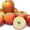 new crop fresh sweet gala apple with high quality for sale