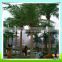 Artificial Planting Tree Ferns Tree Large Landscape Tree Date Palm Tree Types Customized Phoenix Dactylifera