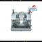 Supply excellent plastic auto head light molding