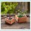 terracotta rectangular flower pot caly mini tarracotta pot