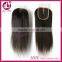cheap ombre human hair extension lace front closure