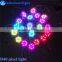 40mm pixel strip lights for Christmas