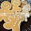 2015 hot selling Christmas Ginger cake mould