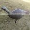 Wholesale Good Painting XPE Foam Turkey Decoy for Outdoor Hunting, High Quality 200g Vivid Hunting Decoy