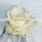 White Glitter/Flower Long Square Box