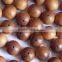 buddhist sandal-wood beads/sandalwood beads/loose prayer beads