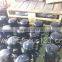 Daikin Compressor best price JT125GA-Y1,daikin compressor model,sayo compressor for chiller