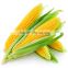 Natural Food Canned Sweet Corn with Whole Kernel in Tin Can Food