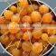 whosale Dried cherry Apple/dried crabapple