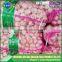 Export ginger & garlic 10kg and 20kg/mesh bag