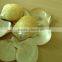 polished gold lip mop for handicafts