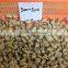 High quality frozen short necked clam meat