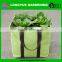Hot selling cheap growing plastic bags for plants