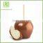 Candy Apple Sticks Manufacturers