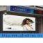 P16 Gloshine Outdoor Led Advertising Screen