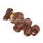 Wholesale hair weave #30 color , human hair
