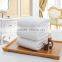 white plain 100% cotton used hotel towels, hotel pool towels