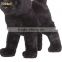 Aipinqi CCTX52 customized cat plush toy