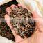 High Quality Plastic Spike 100% Cotton Back Pain Relief Acupressure mat and Pillow set