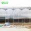 2018 Low Price Agricultural Polycarbonate Greenhouse for sale