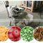 cheap price high speed fruit onion vegetable dicing machine