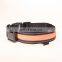 Fashionable solar and usb rechargeable led dog collar with leash