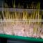 Fodder Sprouting Machine /Hydroponic Grow System/hydroponic sprouting machine