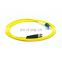 Factory price 8 12 24 fiber SM OM3 OM4 Plenum MPO MTP patch Cable