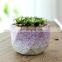 Macaron plant pot small fresh coarse pottery tabletop ceramic flowers with holes