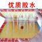 The most competitive price Thick platesmouse glue trap mousetrap big Peanut flavored sticky board Expanded size32*46