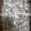 Good price frozen Illex squid strip for export