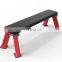 Strength Equipment Flat Bench for Gym
