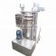 50Kg per hour sesame oil flax seed olive oil hydraulic cold press machine