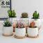 Flower Pots Owl Small Ceramic Factories Directly New Design Cheap Mini Cute Nursery Animal Succulent Plants, Small Plants White
