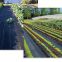Green White Black Garden Agricultural Greenhouse Plant Landscape Mulch Grass Anti PP PE Plastic UV HDPE Non Woven Weed Barrier Control Fabric Ground Cover Mat
