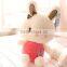 Body Part and rabbit Shape pillow/emoji pillow