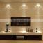 Modern design PVC wall panel texture wall paneling in Guangdong