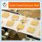 White PVC Conveyor Belts for Food Processing Industry