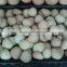high quality automatic biscuit making machine